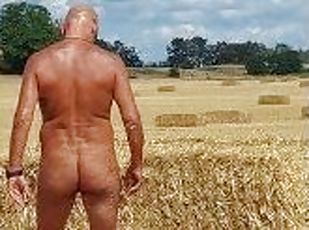 Autum in Germany - horny on the fields