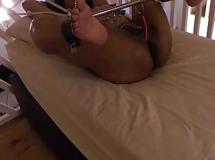 Tied Slave Hungry For A Cock
