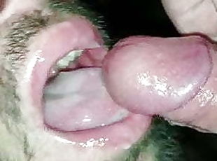 slabanoaga, amatori, muie, gay, arab, laba, inghitit, sperma, sugand