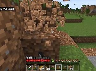 How to Play Minecraft and Dig a Hole