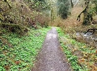 Hike with Mike at Munson Creek Falls POV