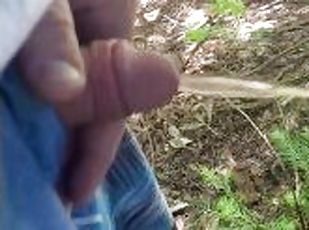 Pissing in the forest: an exhibitionist relieves himself after edging and cumming for you!